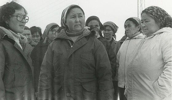 forhåndsvisning af film