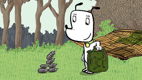 forhåndsvisning af film