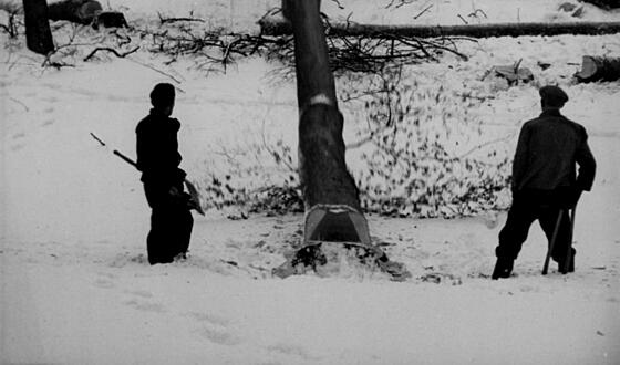 layout image (to proper size of the container)