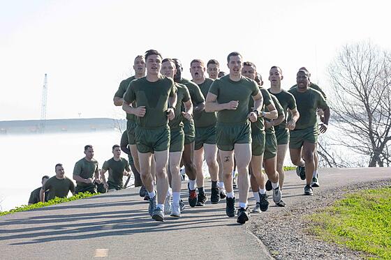 layout image (to proper size of the container)