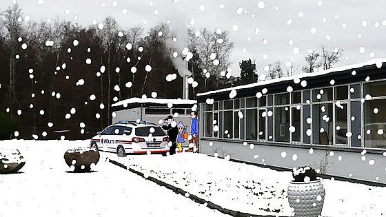 layout image (to proper size of the container)