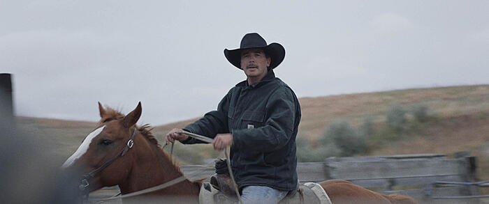 Th Rider The rider