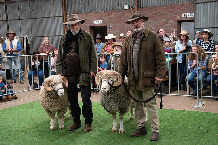 Rams